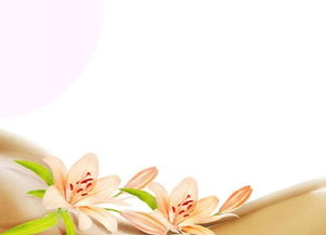 新概念母嬰護(hù)理 重塑家政服務(wù)，打造專業(yè)月嫂與陪護(hù)新標(biāo)桿